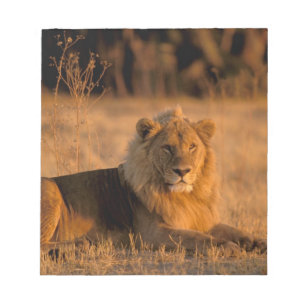 Afrika, Botsuana, Okavango-Delta Notizblock