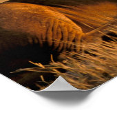 Afrika, Botsuana, Okavango-Delta Poster (Ecke)
