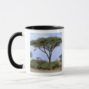 Afrika, Botsuana, Okavango-Delta. Süden Tasse