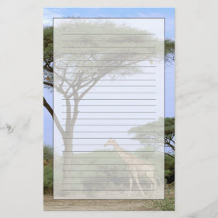 Afrika, Botsuana, Okavango-Delta. Südlich Briefpapier