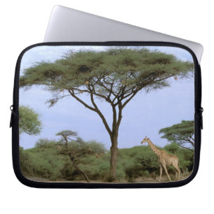 Afrika, Botsuana, Okavango-Delta. Südlich Laptopschutzhülle