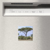Afrika, Botsuana, Okavango-Delta. Südlich Magnet (In Situ (Geschirrspüler))