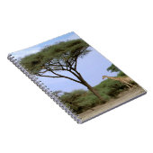 Afrika, Botsuana, Okavango-Delta. Südlich Notizblock (Rechte Seite)