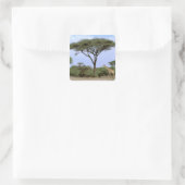 Afrika, Botsuana, Okavango-Delta. Südlich Quadratischer Aufkleber (Tasche)