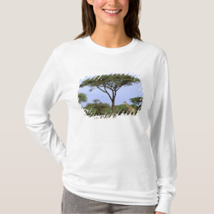Afrika, Botsuana, Okavango-Delta. Südlich T-Shirt