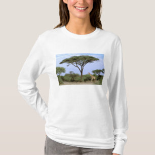 Afrika, Botsuana, Okavango-Delta. Südlich T-Shirt
