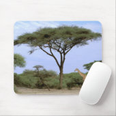 Afrika, Botsuana, Okavangodelta. Südlich Mousepad (Mit Mouse)