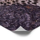 Afrika, Botsuana, Okvango-Delta, wilder Leopard. 2 Poster (Ecke)