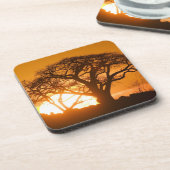 Afrika, Botsuana, Sonnenuntergang Silhouetten Baob Getränkeuntersetzer (Linke Seite)