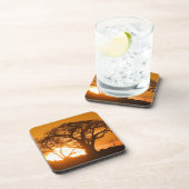 Afrika, Botsuana, Sonnenuntergang Silhouetten Baob Getränkeuntersetzer (Rechte Seite)