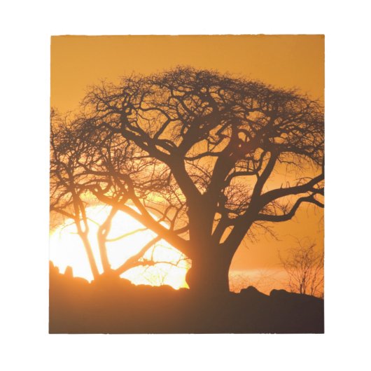 Afrika, Botsuana, Sonnenuntergang Silhouetten Baob Notizblock (Vorderseite)