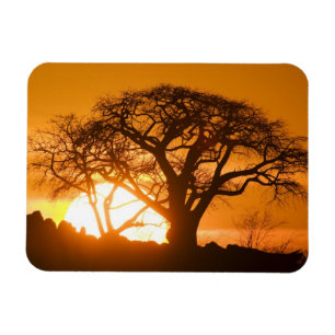 Afrika, Botsuana, Untergehende Sonne silhouettiert Magnet