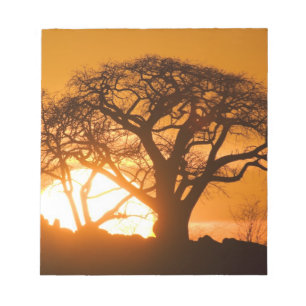 Afrika, Botsuana, Untergehende Sonne silhouettiert Notizblock