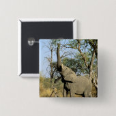 Afrika, Botswana, das Okavango-Delta. Afrika 2 Button (Vorne & Hinten)