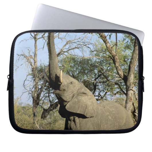 Afrika, Botswana, das Okavango-Delta. Afrika 2 Laptopschutzhülle (Vorderseite)