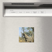 Afrika, Botswana, das Okavango-Delta. Afrika 2 Magnet (In Situ (Geschirrspüler))
