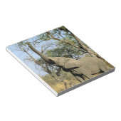 Afrika, Botswana, das Okavango-Delta. Afrika 2 Notizblock (angewinkelt)