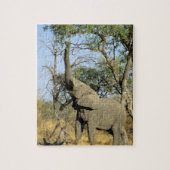 Afrika, Botswana, das Okavango-Delta. Afrika 2 Puzzle (Vertikal)