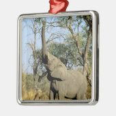 Afrika, Botswana, das Okavango-Delta. Afrika 2 Silbernes Ornament (Links)