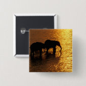 Afrika, Botswana, das Okavango-Delta. afrikanisch Button (Vorne & Hinten)