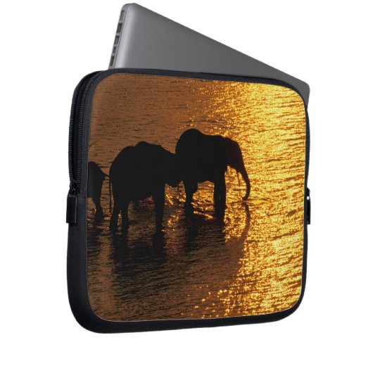 Afrika, Botswana, das Okavango-Delta. afrikanisch Laptopschutzhülle (Vorne Rechts)