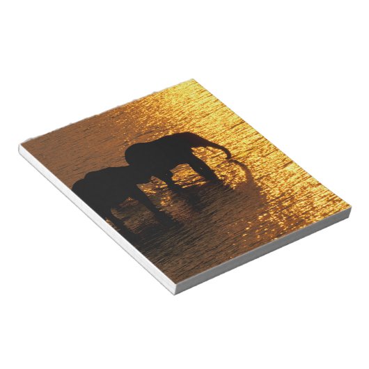 Afrika, Botswana, das Okavango-Delta. afrikanisch Notizblock (angewinkelt)