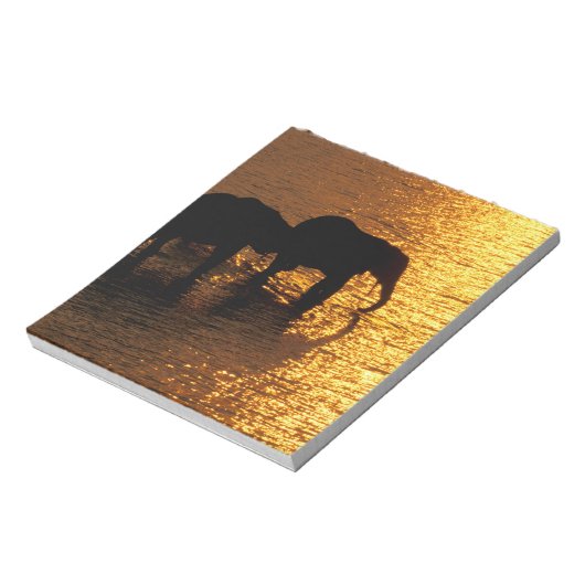 Afrika, Botswana, das Okavango-Delta. afrikanisch Notizblock (Rotiert)