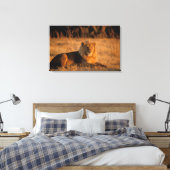 Afrika, Botswana, das Okavango-Delta. Löwe (Panthe Leinwanddruck (Insitu (Schlafzimmer))