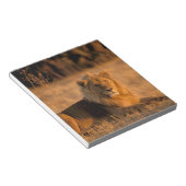 Afrika, Botswana, das Okavango-Delta. Löwe (Panthe Notizblock (angewinkelt)