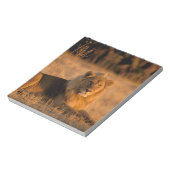 Afrika, Botswana, das Okavango-Delta. Löwe (Panthe Notizblock (Rotiert)