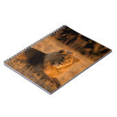 Afrika, Botswana, das Okavango-Delta. Löwe (Panthe Notizblock (Linke Seite)