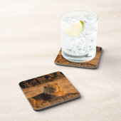 Afrika, Botswana, das Okavango-Delta. Löwe (Panthe Untersetzer (Rechte Seite)