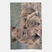 Afrika, Botswana, das Okavango-Delta. Löwen Handtuch (Vertikal)
