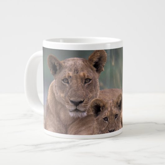 Afrika, Botswana, das Okavango-Delta. Löwen Jumbo-Tasse (Vorderseite Links)