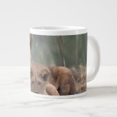 Afrika, Botswana, das Okavango-Delta. Löwen Jumbo-Tasse (Vorderseite Rechts)