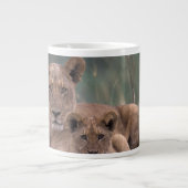 Afrika, Botswana, das Okavango-Delta. Löwen Jumbo-Tasse (Vorderseite)