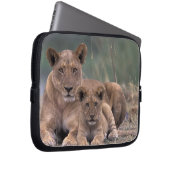 Afrika, Botswana, das Okavango-Delta. Löwen Laptopschutzhülle (Vorne Rechts)