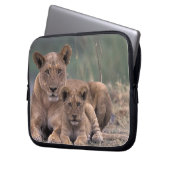 Afrika, Botswana, das Okavango-Delta. Löwen Laptopschutzhülle (Vorderseite Links)