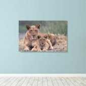 Afrika, Botswana, das Okavango-Delta. Löwen Leinwanddruck (Insitu (Holzboden))