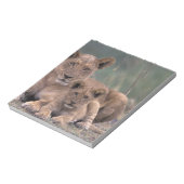 Afrika, Botswana, das Okavango-Delta. Löwen Notizblock (Rotiert)
