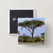 Afrika, Botswana, das Okavango-Delta. südlich Button (Vorne & Hinten)