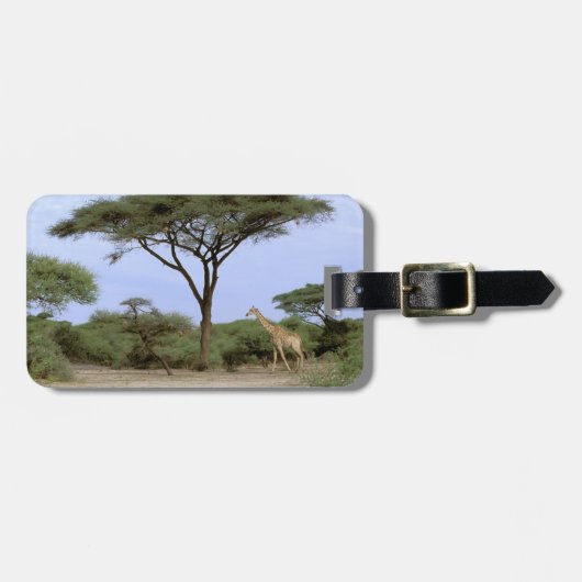 Afrika, Botswana, das Okavango-Delta. südlich Gepäckanhänger (Vorderseite horizontal)