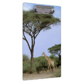 Afrika, Botswana, das Okavango-Delta. südlich Klemmbrett (Rechts)