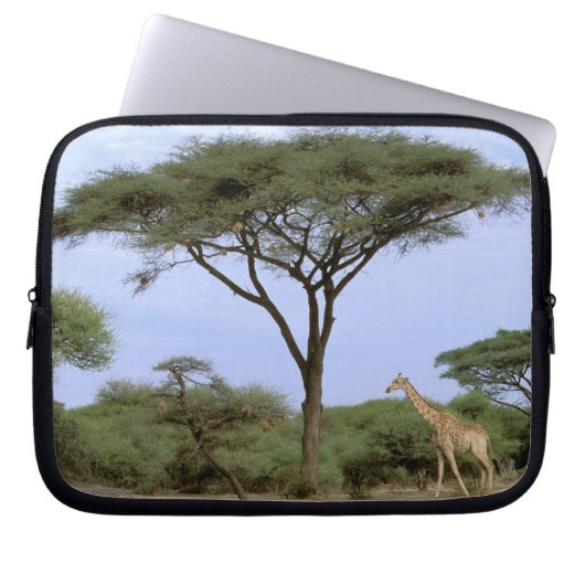 Afrika, Botswana, das Okavango-Delta. südlich Laptopschutzhülle (Vorderseite)