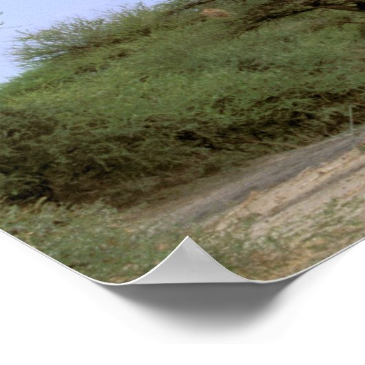 Afrika, Botswana, das Okavango-Delta. südlich Poster (Ecke)