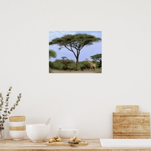 Afrika, Botswana, das Okavango-Delta. südlich Poster (Küche)