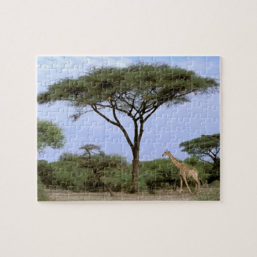 Afrika, Botswana, das Okavango-Delta. südlich Puzzle (Horizontal)