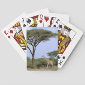 Afrika, Botswana, das Okavango-Delta. südlich Spielkarten (Rückseite)