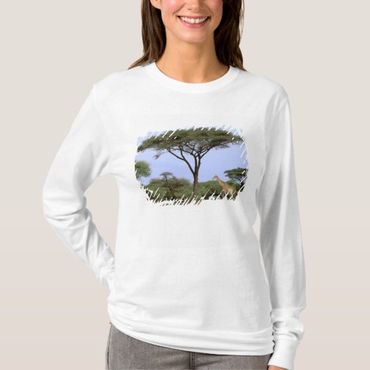 Afrika, Botswana, das Okavango-Delta. südlich T-Shirt (Vorderseite)