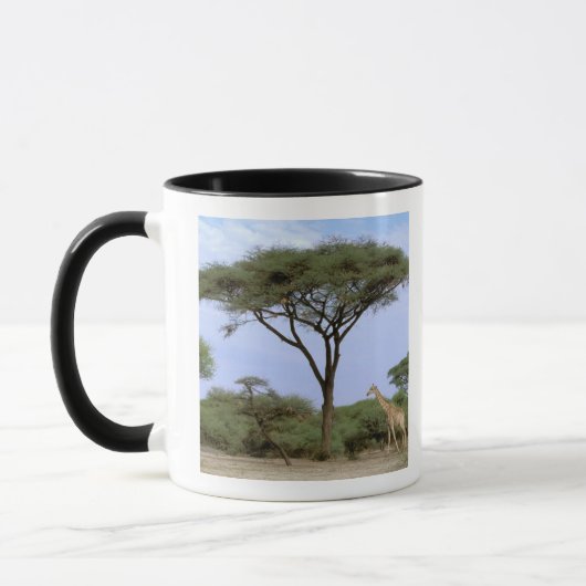 Afrika, Botswana, das Okavango-Delta. südlich Tasse (Links)